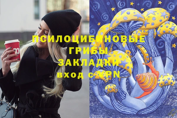 сатива Алексеевка