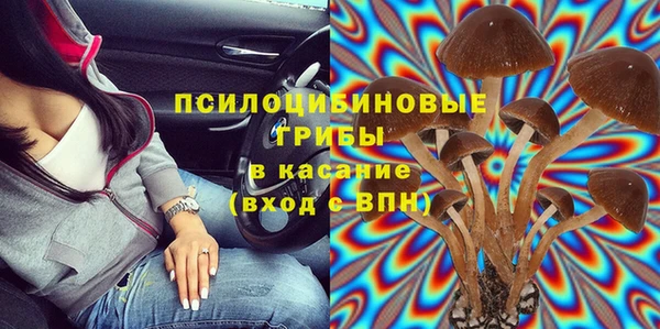 прущие грибы Алексин