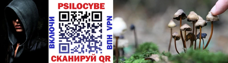 KRAKEN как зайти магазин продажи Миллерово Псилоцибиновые грибы Cubensis